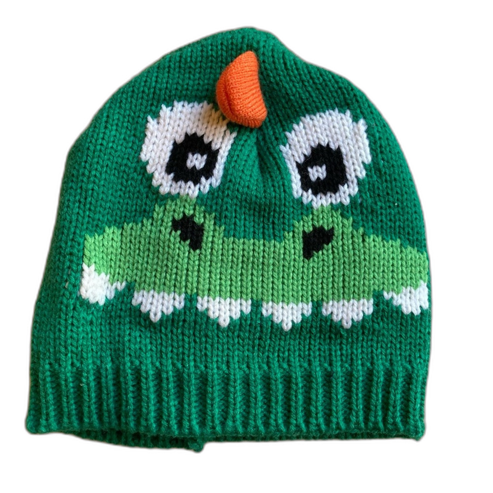 Dinosaur Dragon Creatology Boys Beanie Hat Green White Ribbed OS